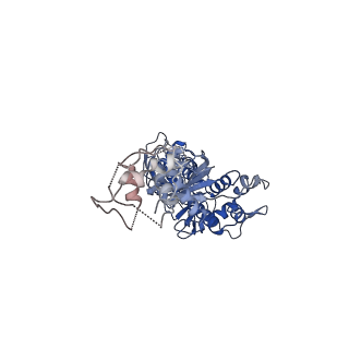 12982_7om0_F_v1-2
Structure of Primase-Helicase in SaPI5