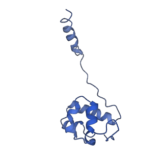 16966_8om2_2_v1-2
Small subunit of yeast mitochondrial ribosome in complex with METTL17/Rsm22.