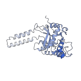 16966_8om2_4_v1-2
Small subunit of yeast mitochondrial ribosome in complex with METTL17/Rsm22.