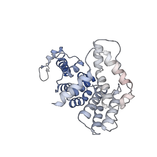 16966_8om2_5_v1-2
Small subunit of yeast mitochondrial ribosome in complex with METTL17/Rsm22.