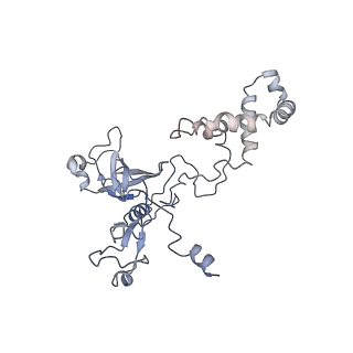 16966_8om2_A_v1-2
Small subunit of yeast mitochondrial ribosome in complex with METTL17/Rsm22.