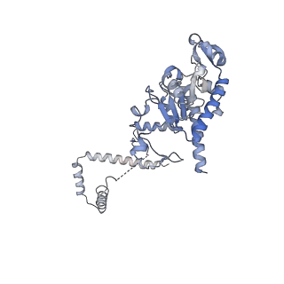 16966_8om2_B_v1-2
Small subunit of yeast mitochondrial ribosome in complex with METTL17/Rsm22.