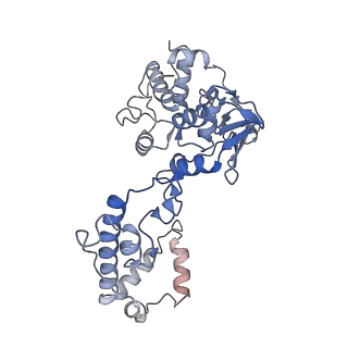 16966_8om2_D_v1-2
Small subunit of yeast mitochondrial ribosome in complex with METTL17/Rsm22.