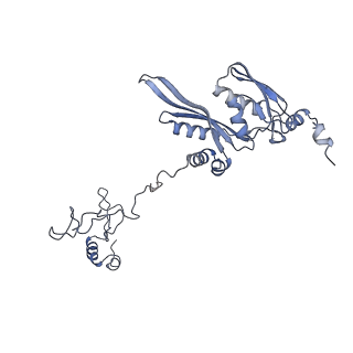 16966_8om2_E_v1-2
Small subunit of yeast mitochondrial ribosome in complex with METTL17/Rsm22.