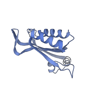 16966_8om2_F_v1-2
Small subunit of yeast mitochondrial ribosome in complex with METTL17/Rsm22.