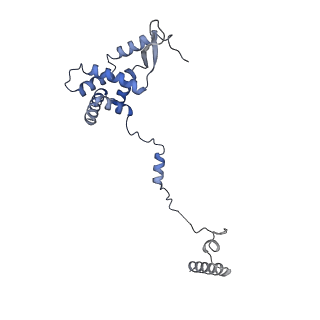 16966_8om2_G_v1-2
Small subunit of yeast mitochondrial ribosome in complex with METTL17/Rsm22.