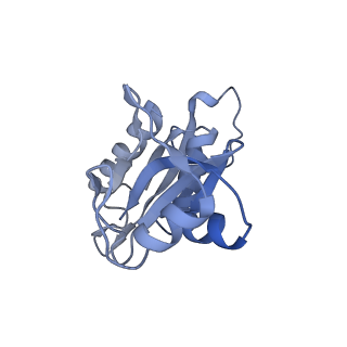 16966_8om2_H_v1-2
Small subunit of yeast mitochondrial ribosome in complex with METTL17/Rsm22.