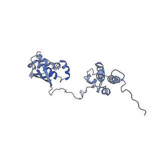 16966_8om2_I_v1-2
Small subunit of yeast mitochondrial ribosome in complex with METTL17/Rsm22.