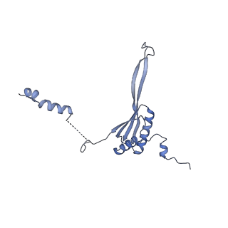 16966_8om2_J_v1-2
Small subunit of yeast mitochondrial ribosome in complex with METTL17/Rsm22.