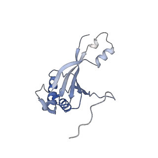16966_8om2_K_v1-2
Small subunit of yeast mitochondrial ribosome in complex with METTL17/Rsm22.
