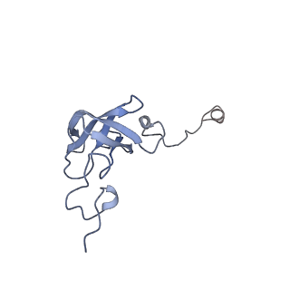 16966_8om2_L_v1-2
Small subunit of yeast mitochondrial ribosome in complex with METTL17/Rsm22.