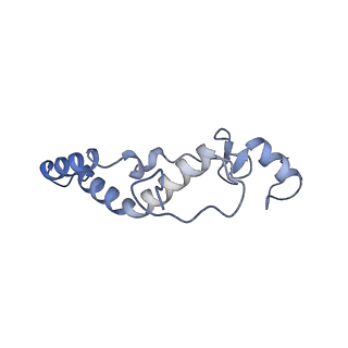 16966_8om2_N_v1-2
Small subunit of yeast mitochondrial ribosome in complex with METTL17/Rsm22.