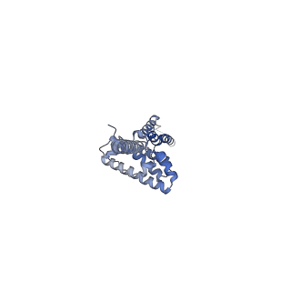 16966_8om2_O_v1-2
Small subunit of yeast mitochondrial ribosome in complex with METTL17/Rsm22.
