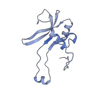 16966_8om2_P_v1-2
Small subunit of yeast mitochondrial ribosome in complex with METTL17/Rsm22.