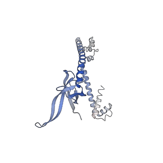 16966_8om2_Q_v1-2
Small subunit of yeast mitochondrial ribosome in complex with METTL17/Rsm22.