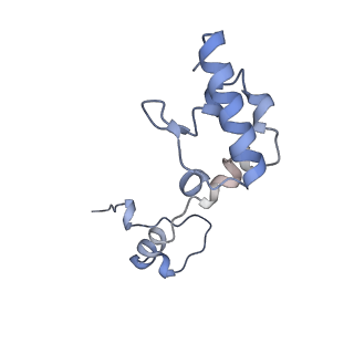 16966_8om2_R_v1-2
Small subunit of yeast mitochondrial ribosome in complex with METTL17/Rsm22.