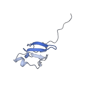 16966_8om2_S_v1-2
Small subunit of yeast mitochondrial ribosome in complex with METTL17/Rsm22.