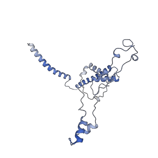 16966_8om2_U_v1-2
Small subunit of yeast mitochondrial ribosome in complex with METTL17/Rsm22.