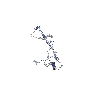 16966_8om2_V_v1-2
Small subunit of yeast mitochondrial ribosome in complex with METTL17/Rsm22.