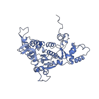 16966_8om2_W_v1-2
Small subunit of yeast mitochondrial ribosome in complex with METTL17/Rsm22.
