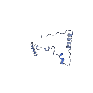 16966_8om2_X_v1-2
Small subunit of yeast mitochondrial ribosome in complex with METTL17/Rsm22.