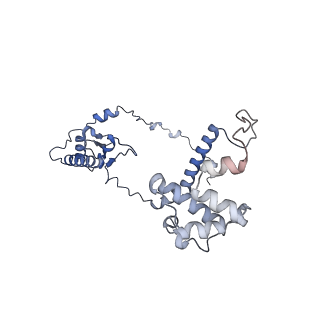 16966_8om2_Y_v1-2
Small subunit of yeast mitochondrial ribosome in complex with METTL17/Rsm22.