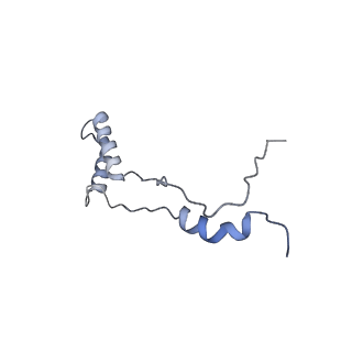 16966_8om2_Z_v1-2
Small subunit of yeast mitochondrial ribosome in complex with METTL17/Rsm22.