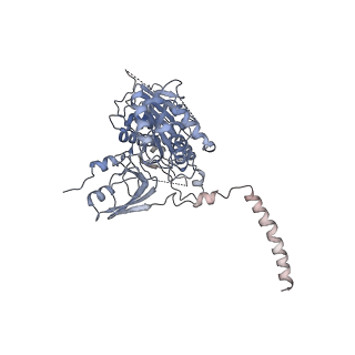 16966_8om2_c_v1-2
Small subunit of yeast mitochondrial ribosome in complex with METTL17/Rsm22.