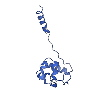 16967_8om3_2_v1-2
Small subunit of yeast mitochondrial ribosome in complex with IF3/Aim23.