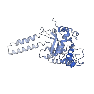 16967_8om3_4_v1-2
Small subunit of yeast mitochondrial ribosome in complex with IF3/Aim23.