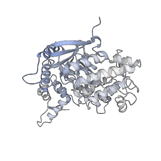 16967_8om3_8_v1-2
Small subunit of yeast mitochondrial ribosome in complex with IF3/Aim23.