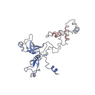 16967_8om3_A_v1-2
Small subunit of yeast mitochondrial ribosome in complex with IF3/Aim23.