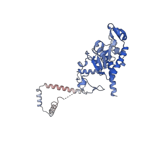 16967_8om3_B_v1-2
Small subunit of yeast mitochondrial ribosome in complex with IF3/Aim23.