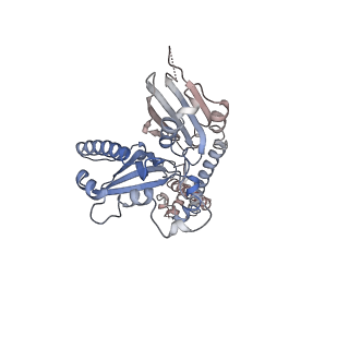 16967_8om3_C_v1-2
Small subunit of yeast mitochondrial ribosome in complex with IF3/Aim23.