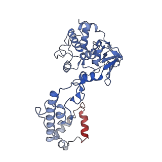 16967_8om3_D_v1-2
Small subunit of yeast mitochondrial ribosome in complex with IF3/Aim23.