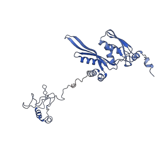 16967_8om3_E_v1-2
Small subunit of yeast mitochondrial ribosome in complex with IF3/Aim23.