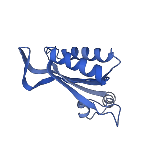 16967_8om3_F_v1-2
Small subunit of yeast mitochondrial ribosome in complex with IF3/Aim23.
