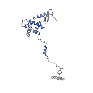 16967_8om3_G_v1-2
Small subunit of yeast mitochondrial ribosome in complex with IF3/Aim23.