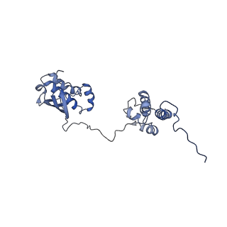 16967_8om3_I_v1-2
Small subunit of yeast mitochondrial ribosome in complex with IF3/Aim23.