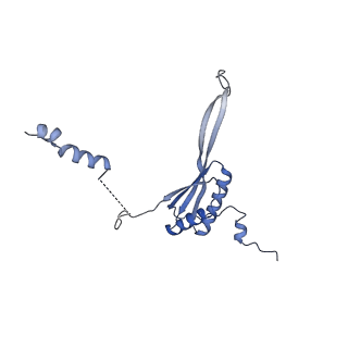 16967_8om3_J_v1-2
Small subunit of yeast mitochondrial ribosome in complex with IF3/Aim23.