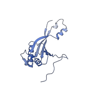 16967_8om3_K_v1-2
Small subunit of yeast mitochondrial ribosome in complex with IF3/Aim23.