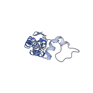 16967_8om3_M_v1-2
Small subunit of yeast mitochondrial ribosome in complex with IF3/Aim23.
