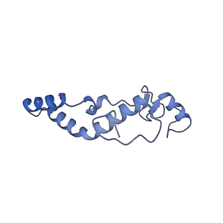 16967_8om3_N_v1-2
Small subunit of yeast mitochondrial ribosome in complex with IF3/Aim23.