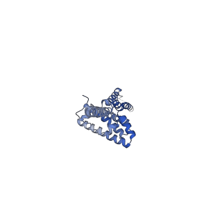 16967_8om3_O_v1-2
Small subunit of yeast mitochondrial ribosome in complex with IF3/Aim23.