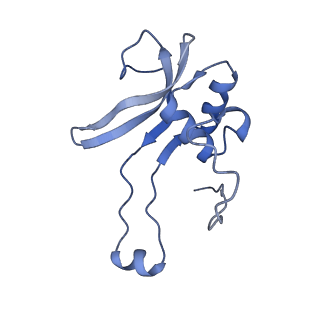 16967_8om3_P_v1-2
Small subunit of yeast mitochondrial ribosome in complex with IF3/Aim23.