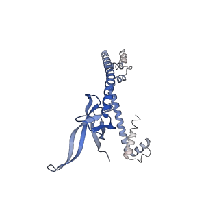 16967_8om3_Q_v1-2
Small subunit of yeast mitochondrial ribosome in complex with IF3/Aim23.