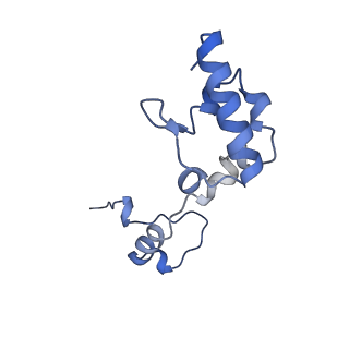 16967_8om3_R_v1-2
Small subunit of yeast mitochondrial ribosome in complex with IF3/Aim23.