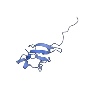 16967_8om3_S_v1-2
Small subunit of yeast mitochondrial ribosome in complex with IF3/Aim23.