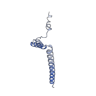 16967_8om3_T_v1-2
Small subunit of yeast mitochondrial ribosome in complex with IF3/Aim23.