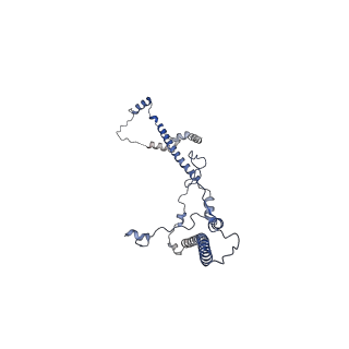 16967_8om3_V_v1-2
Small subunit of yeast mitochondrial ribosome in complex with IF3/Aim23.
